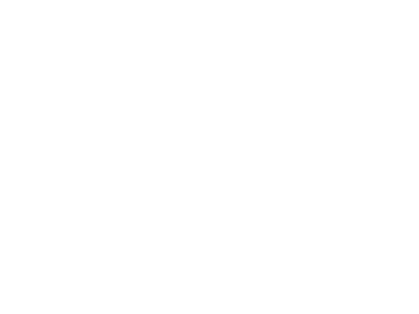 bmprint-logo